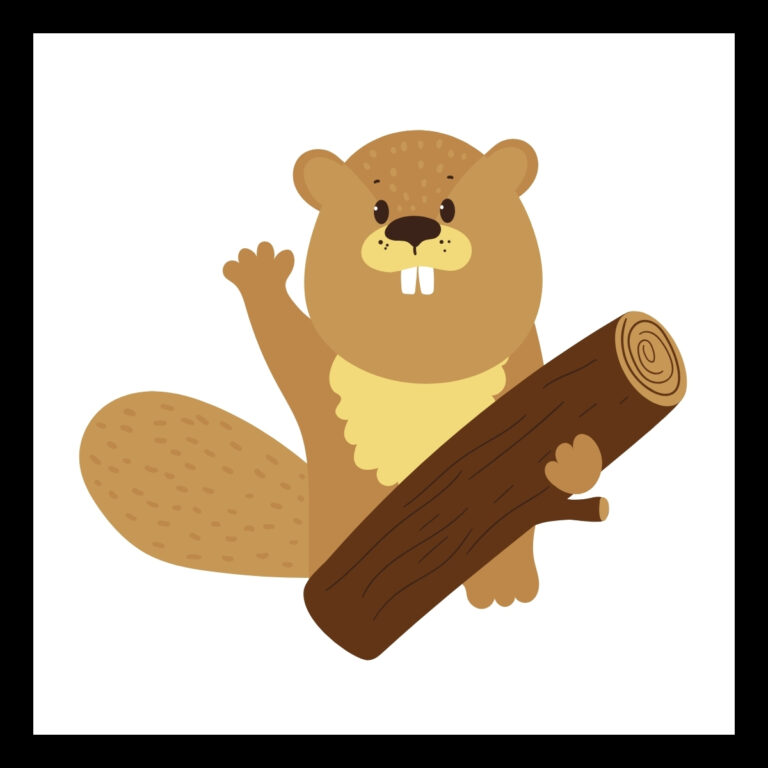 Beaver Jokes