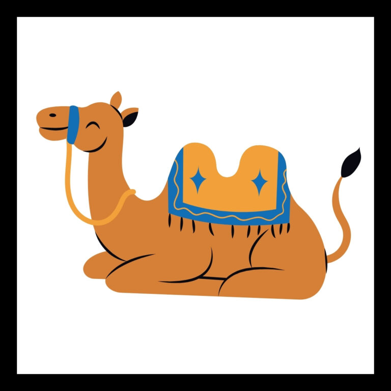 Camel Jokes