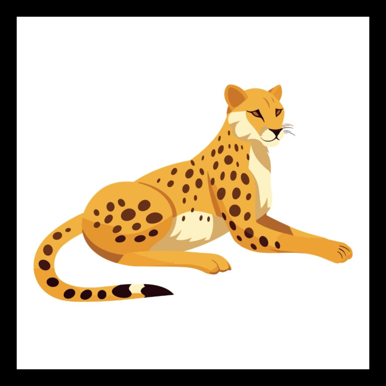 Cheetah Jokes