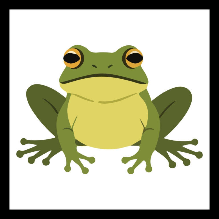 Frog Jokes